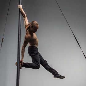 Chinese pole male 11 — figure reference